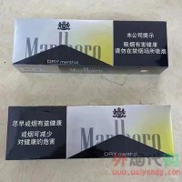 中免万宝路柑橘